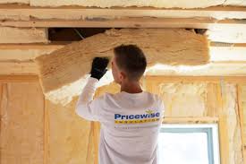 Trusted Lake Magdalene, FL Insulation Services Experts