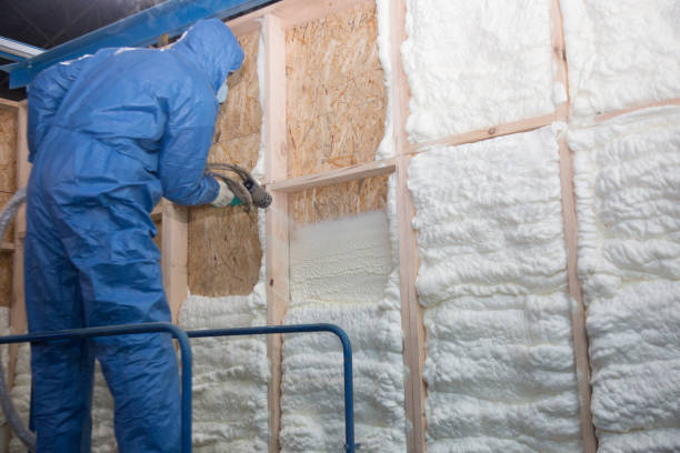 Best Basement Insulation  in Lake Magdalene, FL